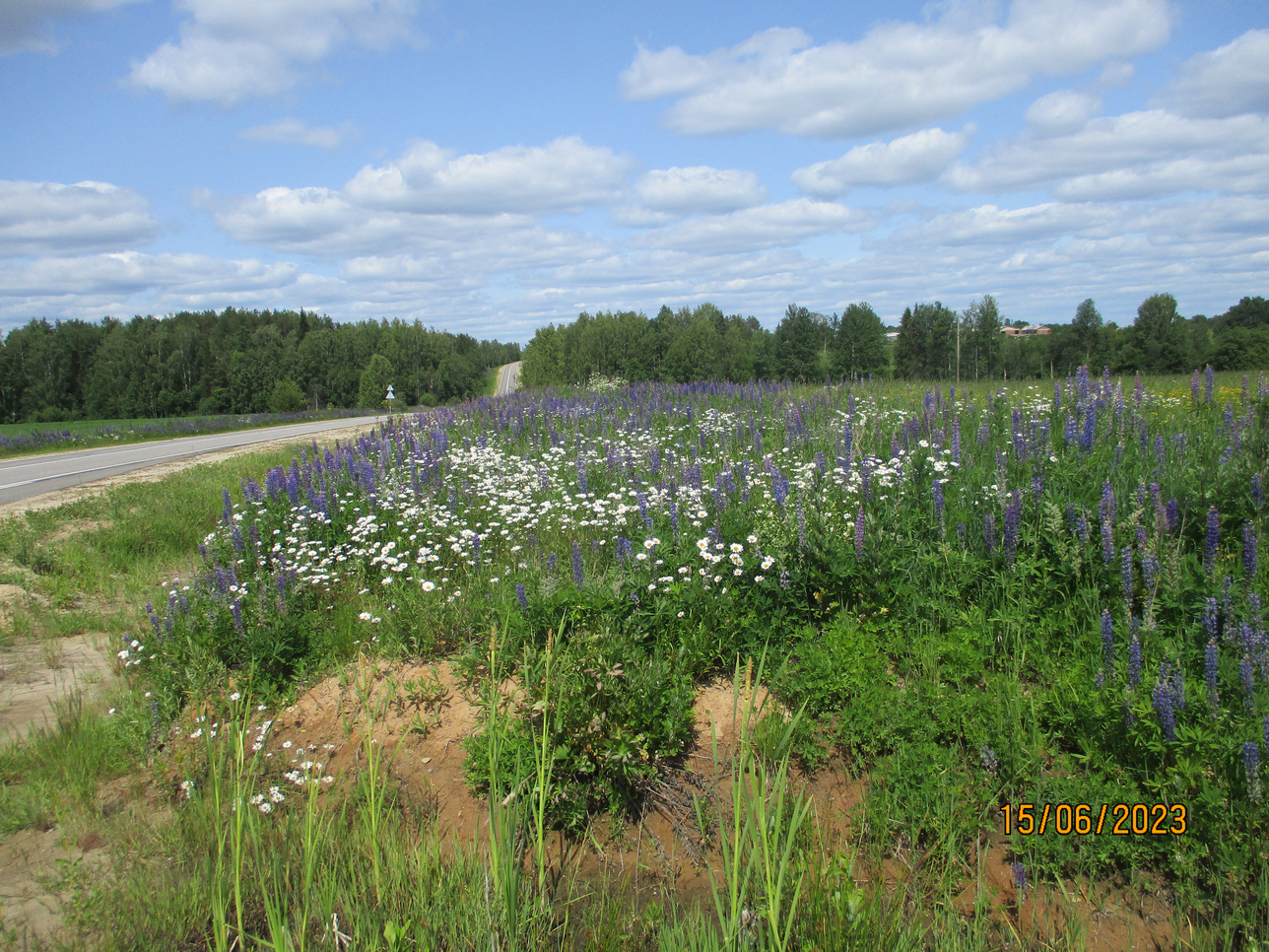 Дорога до неба. Фото 9