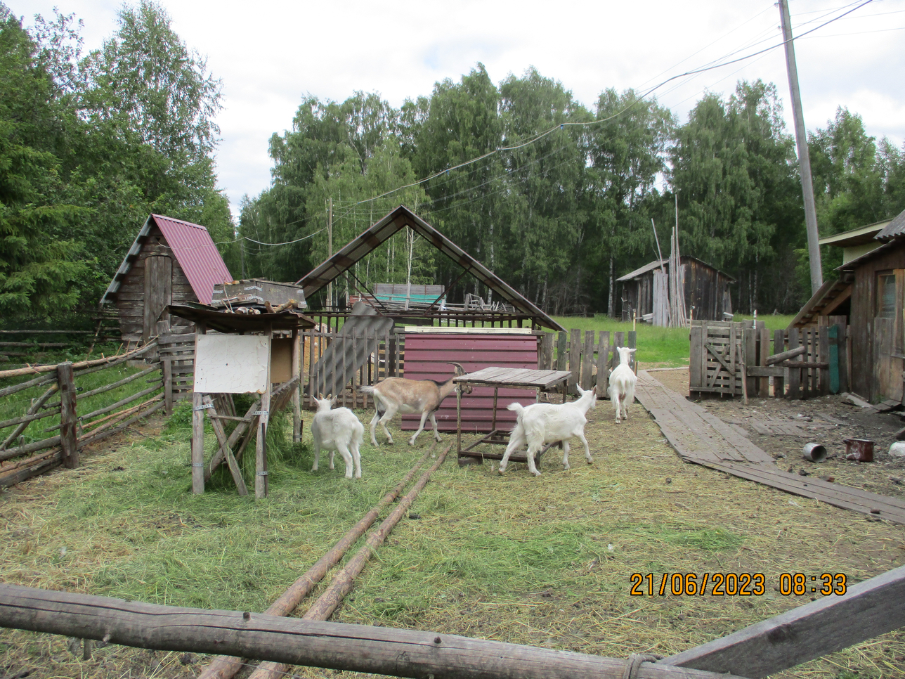 Якимиха-Кострома - Фото 3 Якимиха-Костома. Фото 3