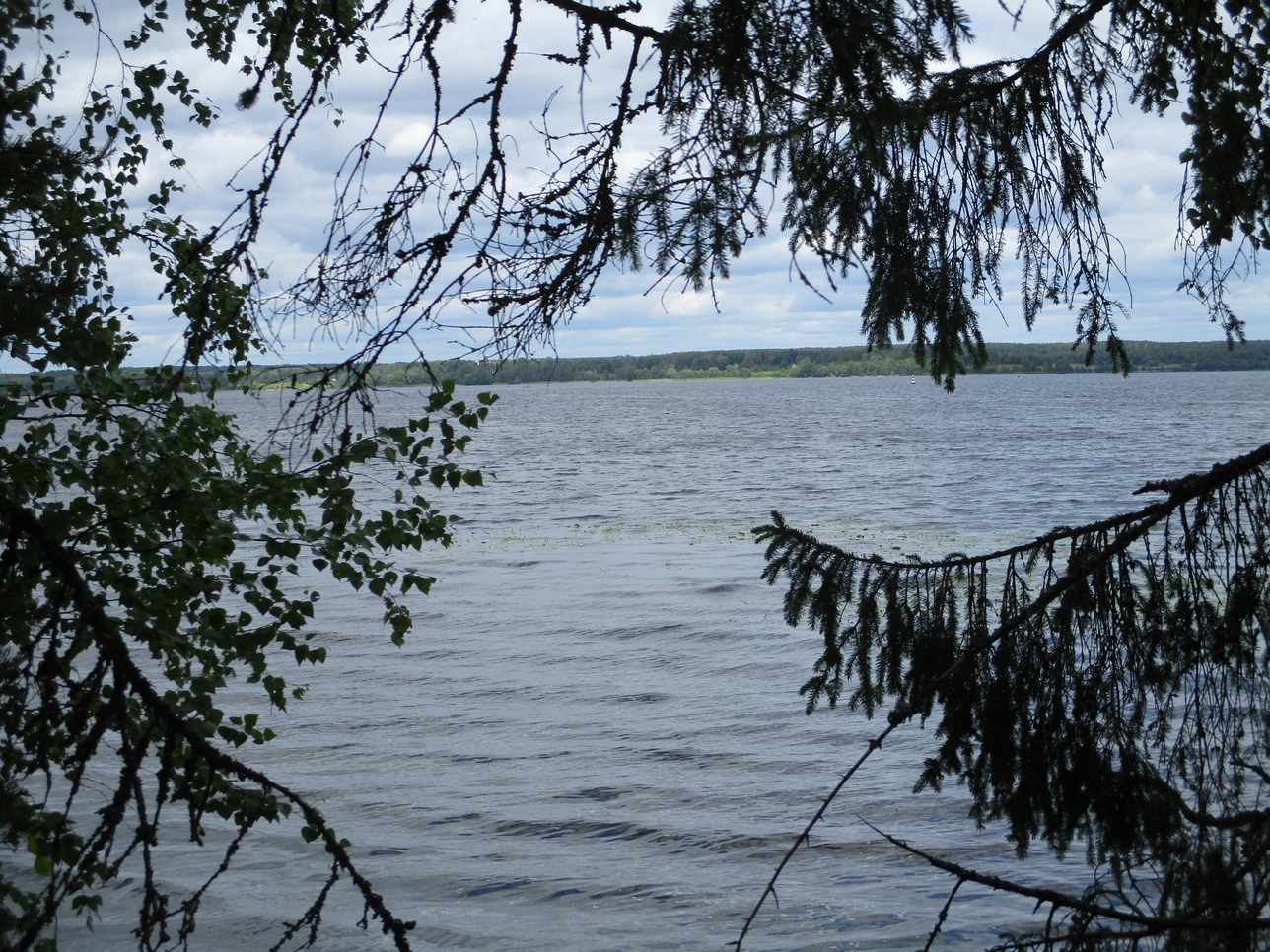 Якимиха-Кострома - Фото 18 Якимиха-Костома. Фото 18