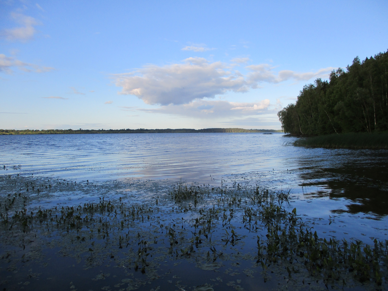 Якимиха-Кострома - Фото 19 Якимиха-Костома. Фото 19