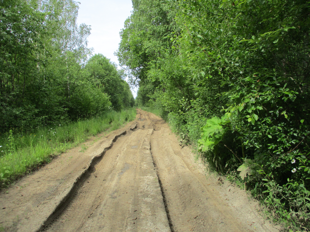 Якимиха-Кострома - Фото 29 Якимиха-Костома. Фото 29