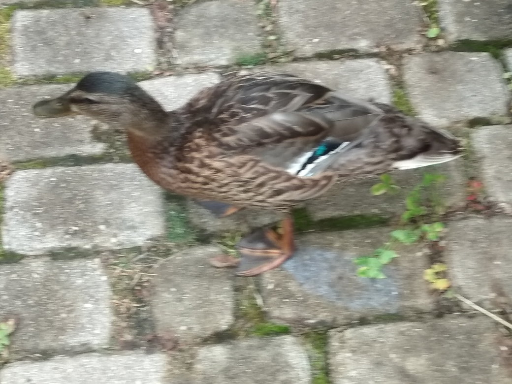 Спасо-Прилуцкий монастырь. Фото 15