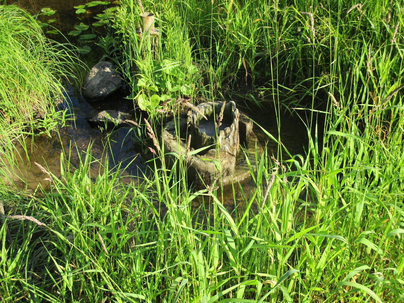 Варница - Фото 3 Варница. Фото 3