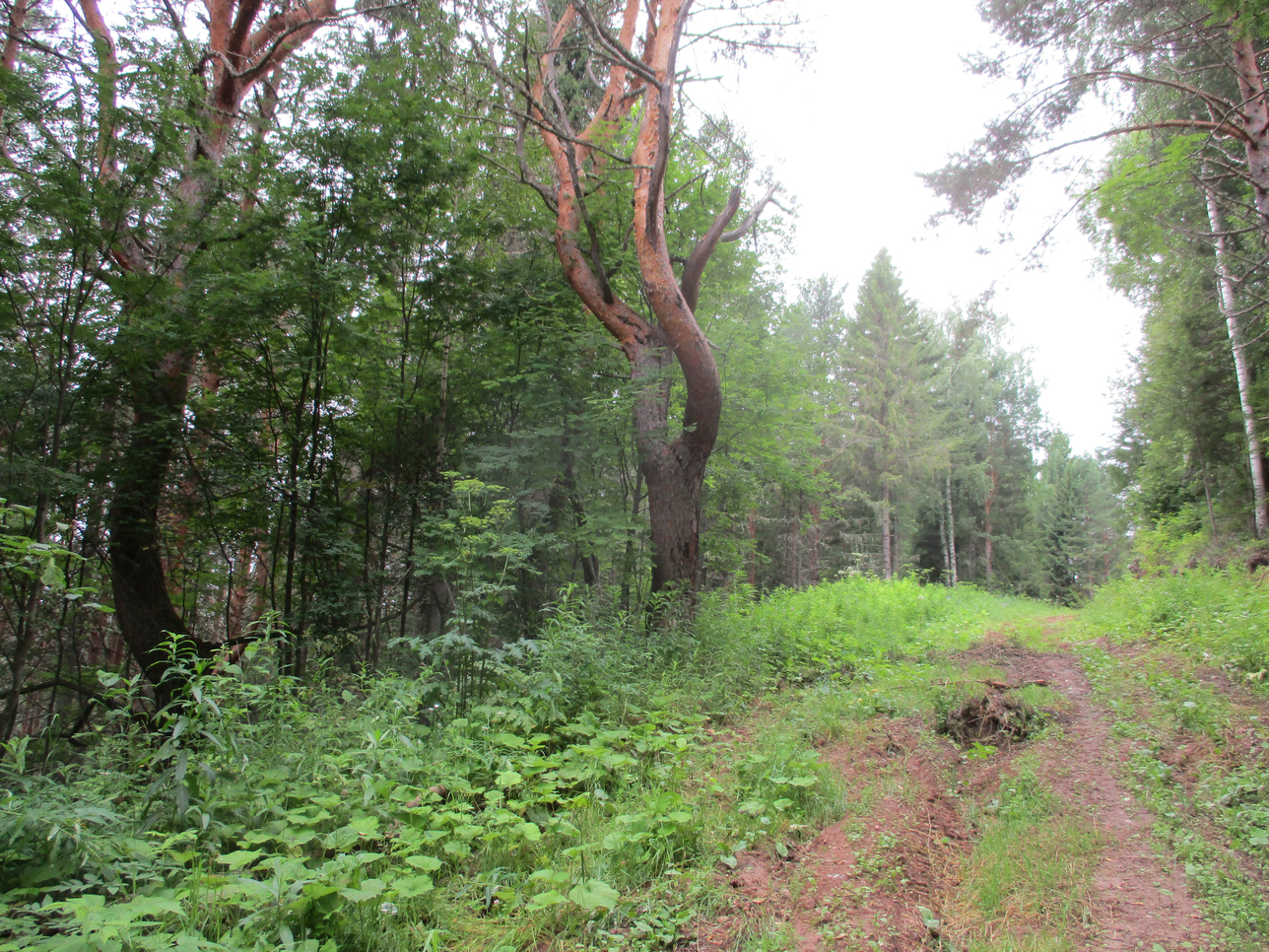 Опоки. Фото 17